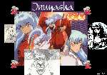 Inuyasha 11.jpg